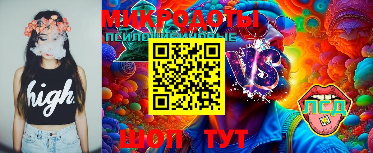 Галлюциногенные грибы Psilocybe Химки