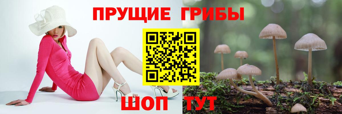 Химки  Галлюциногенные грибы Psilocybe  Вход с VPN 